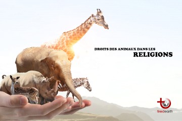 Droits des animaux dans les religions : faire mourir les animaux